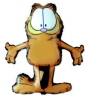 GARFIELD