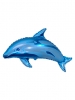 Dolphin Draw Blue